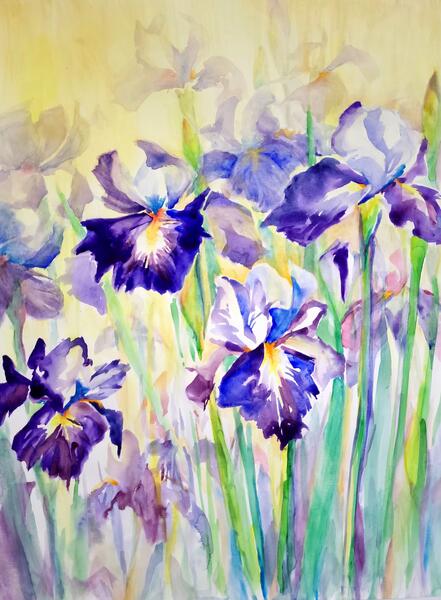 Irises