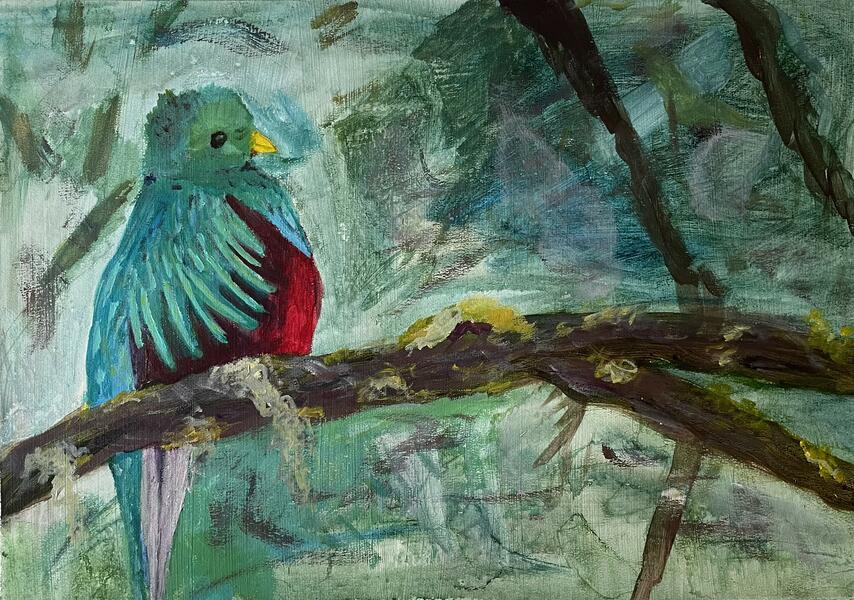 Resplendent Quetzal (Bird Series)