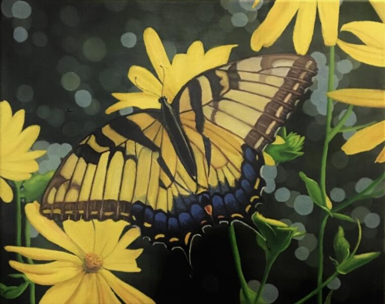 Belleza Amarilla (Yellow Butterfly)