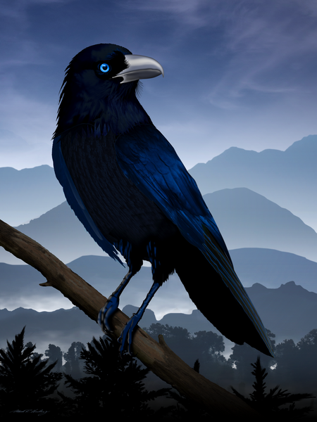 Majestic Raven