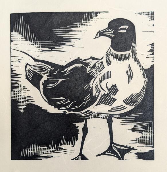 Gull Print #1