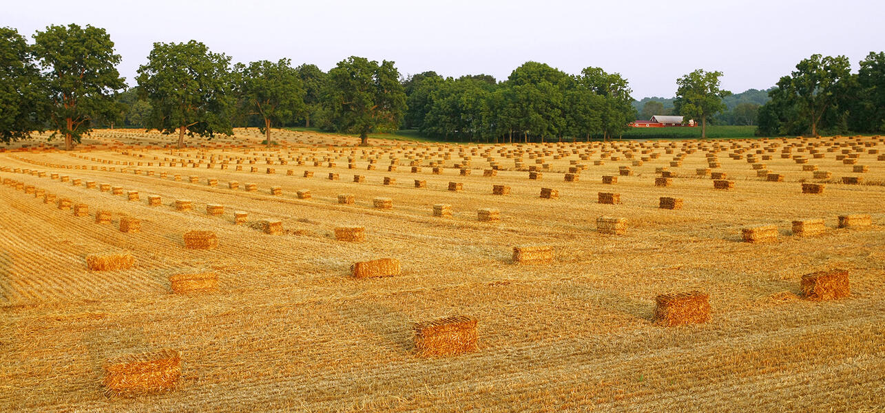 Worthington Valley Hay Bales