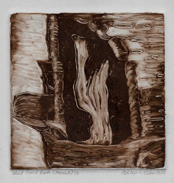 Ghost Forest bark (present) 2024