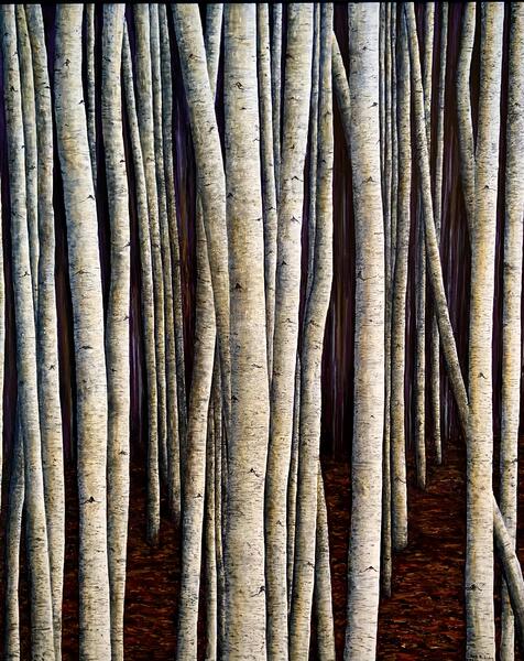 Birch