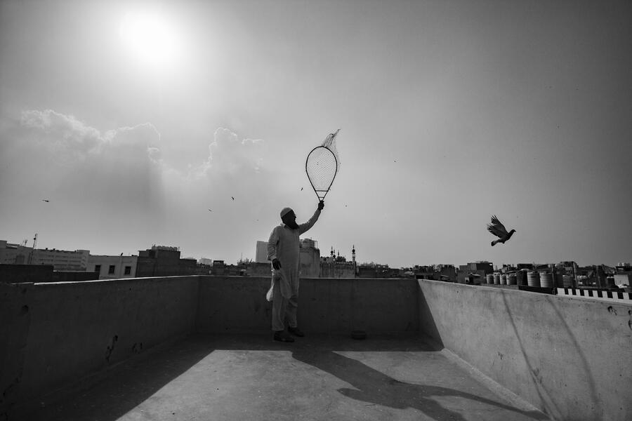 The Birdman of Old Delhi