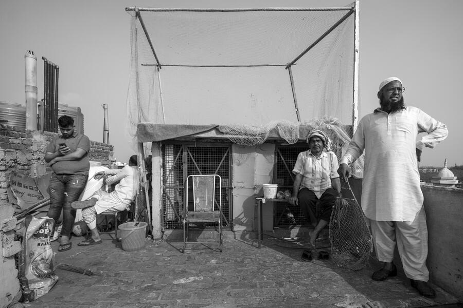 The Birdman of Old Delhi