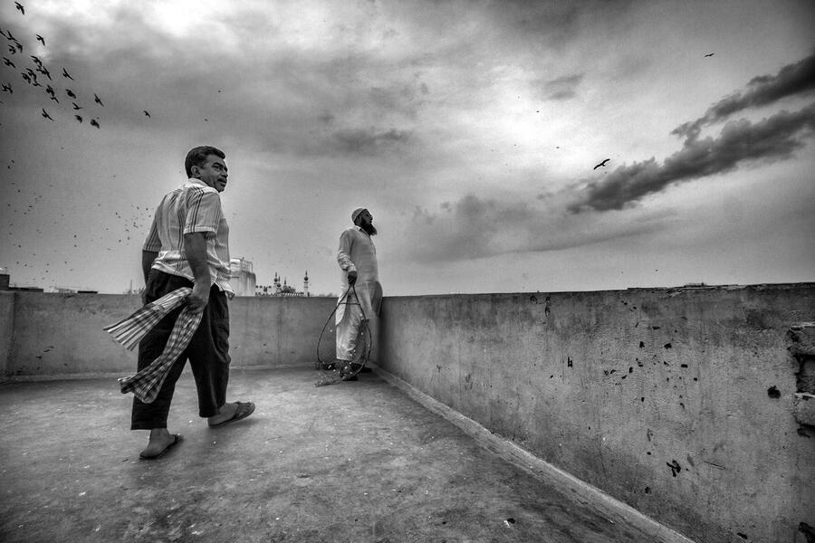 The Birdman of Old Delhi