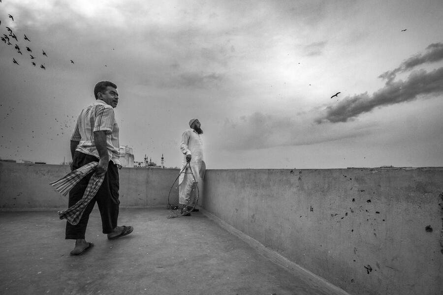 The Birdman of Old Delhi