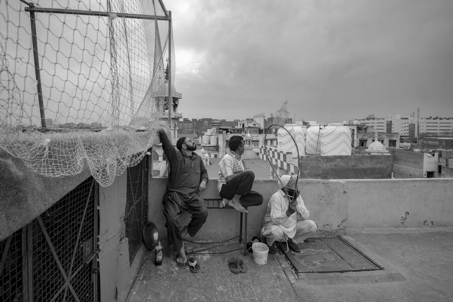 The Birdman of Old Delhi