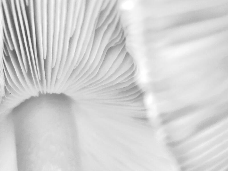 Breathe