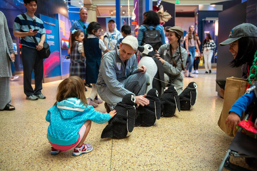 Penguin Puppets | for the Smithsonian's National Museum of Natural History, 2023