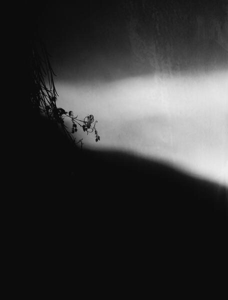 Transient desert