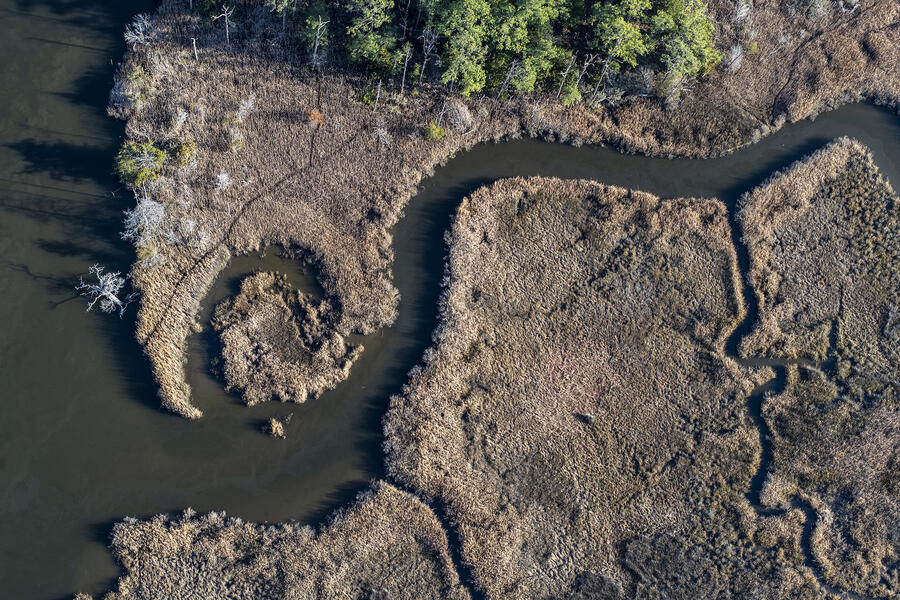 Marsh Spiral