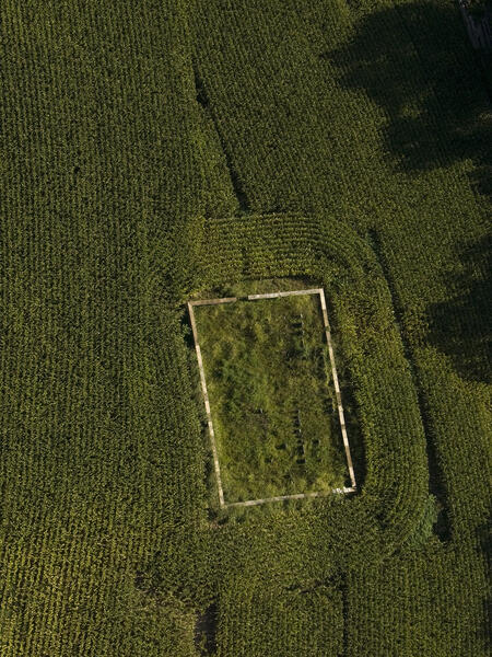 Cemetery in Cornfield