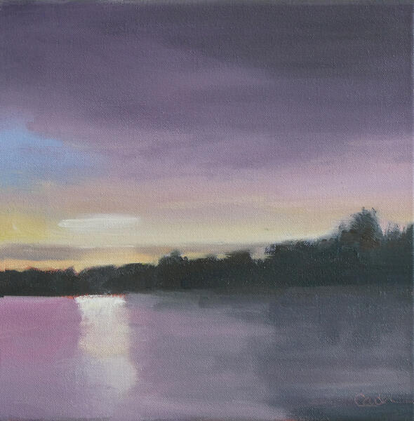 Along the Loire: Amboise