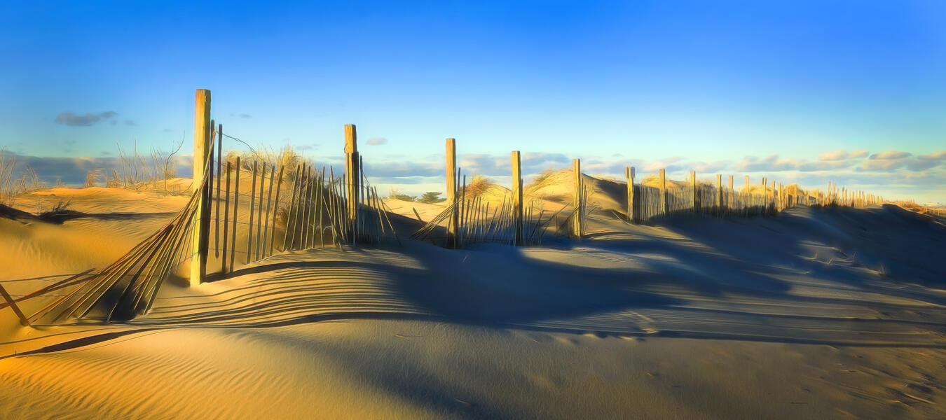 Assateague Fence