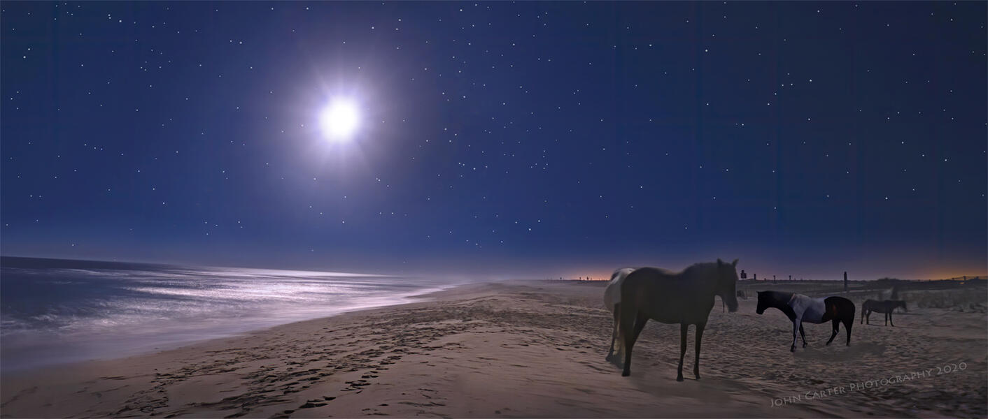 Wild Horses on an Assateague Night