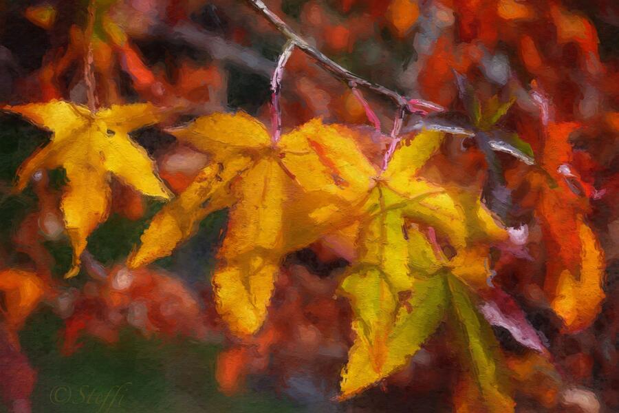 Autumn Leaves #2