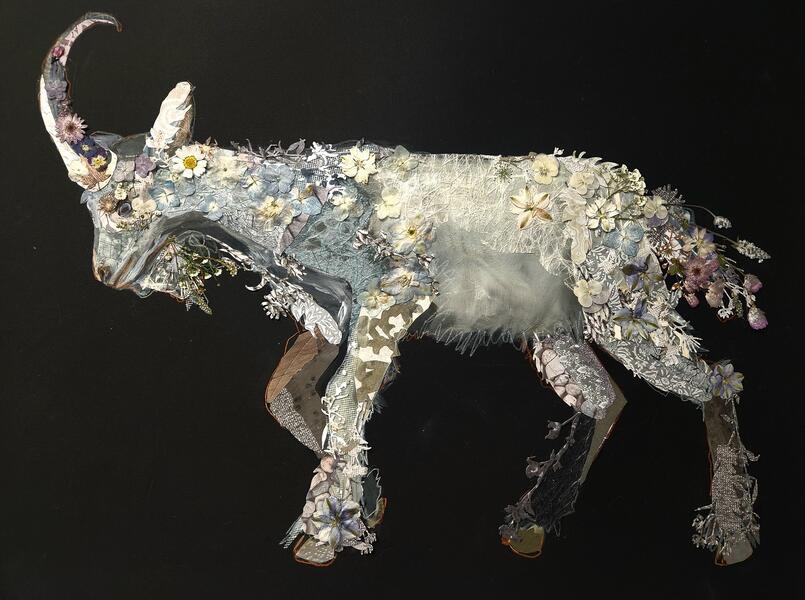 Unicorn I 