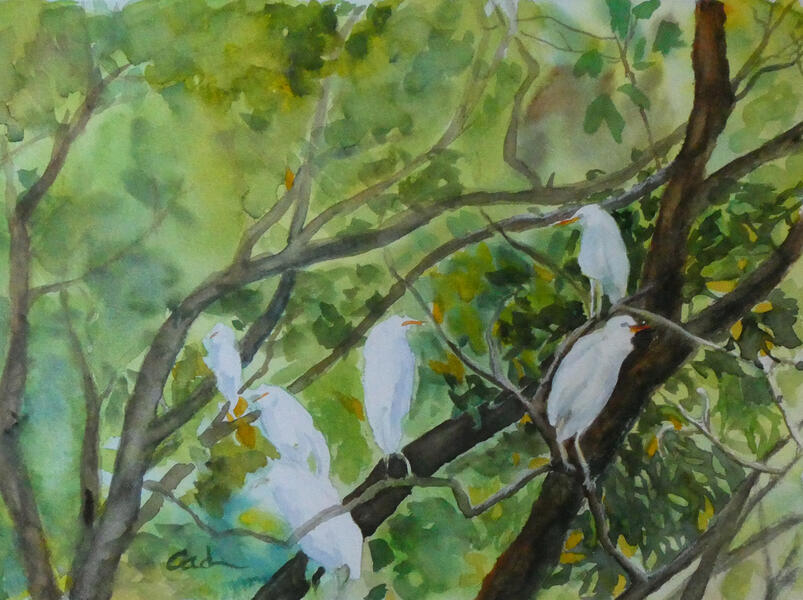 Along the Nile: Morning Gathering