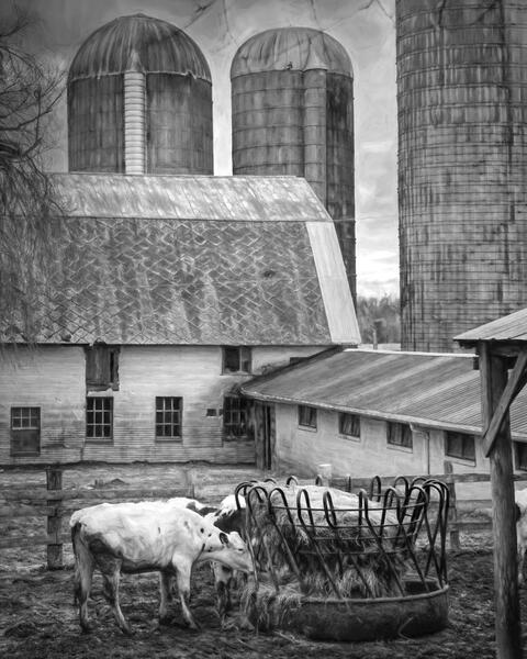 Mount Felix Farm