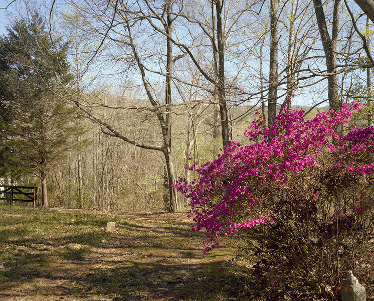 Georgia to Tennessee