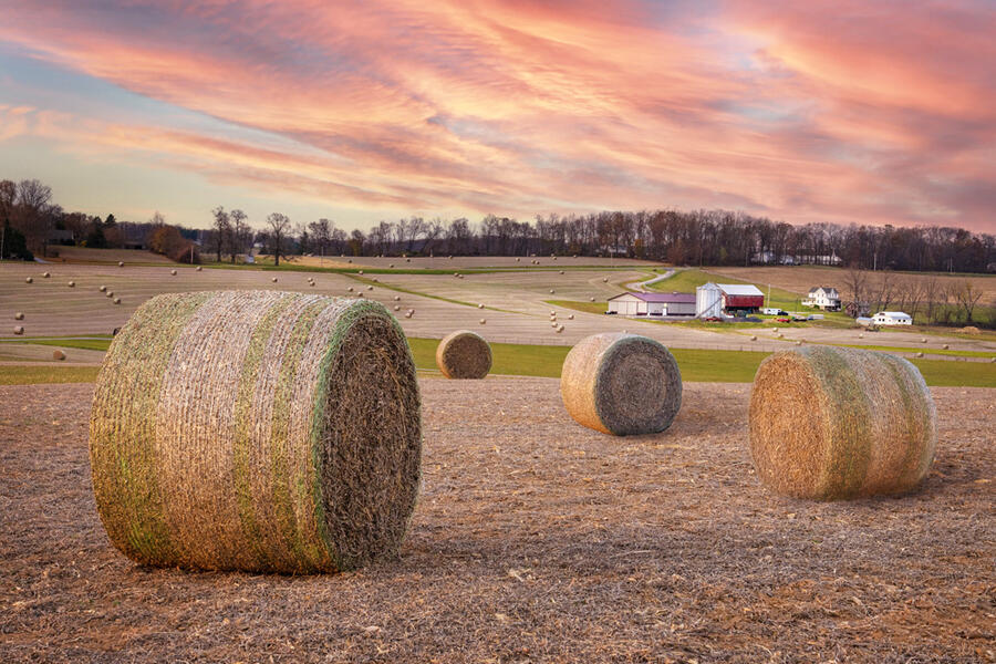 Gorsuch Hay Bales