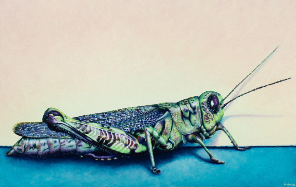 Grasshopper