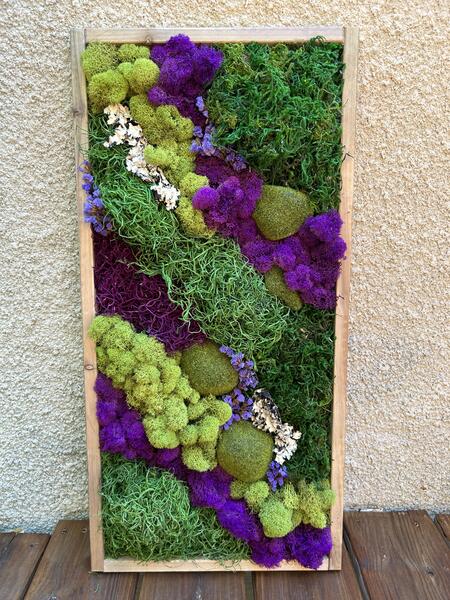 Wall Garden 4