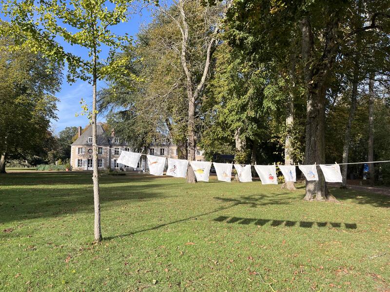 Installation in front yard of Installation  at Chateau Bouthonvillier