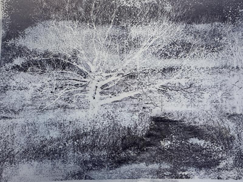 Witch's Tree, Image Transfer