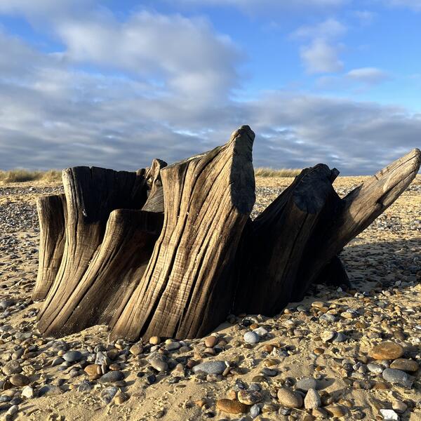 Covehithe Erosion Project