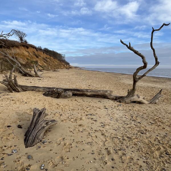 Covehithe Erosion Project