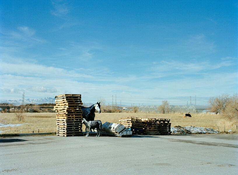 Feed Store