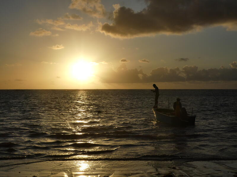 Grenada - Mother Earth 2021