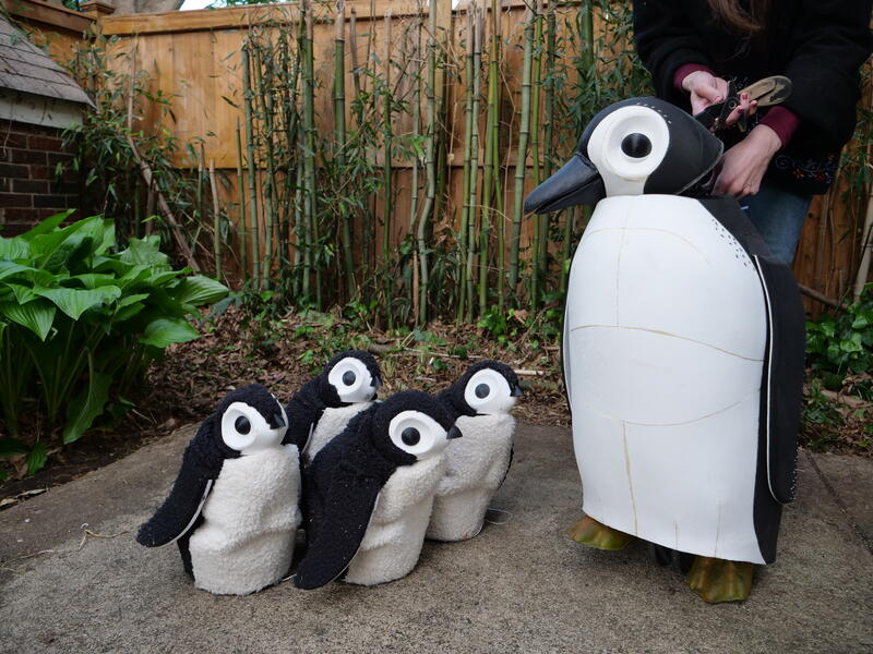 Penguin Puppets | for the Smithsonian's National Museum of Natural History, 2023