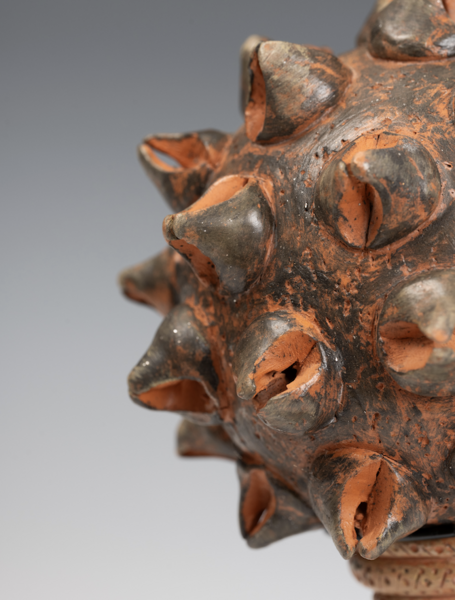 Sweet Gum Rattle - detail