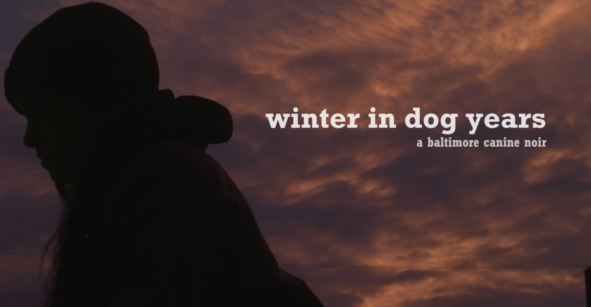 How long is the winter in dog years?