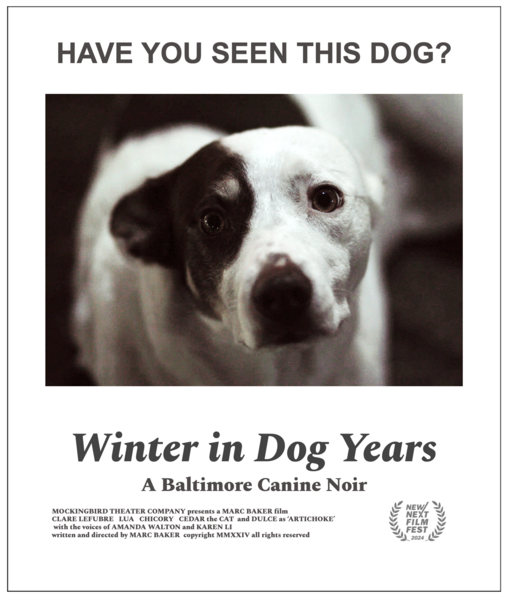 Have you seen this dog?