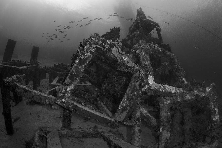 The Sea was a Crucible