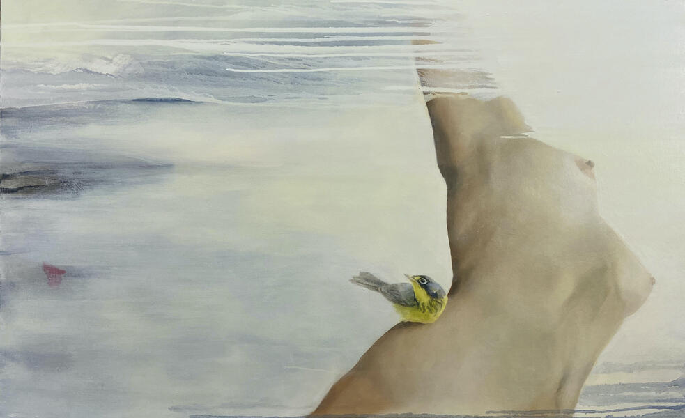 Little Bird