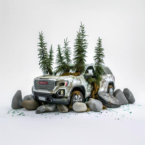 Acadia, reforested