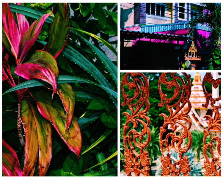 a thailand color storyphotography