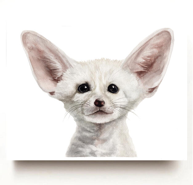 Fennec Fox