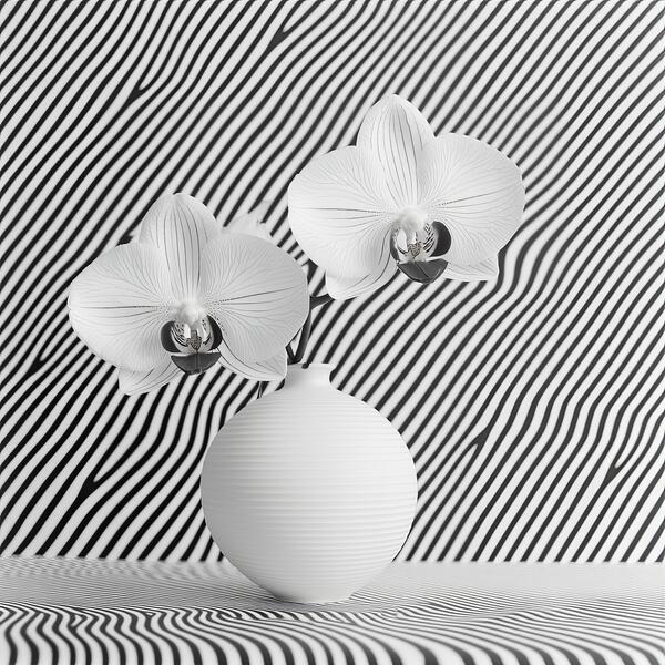 Speculative Flora: Bridget Riley 001