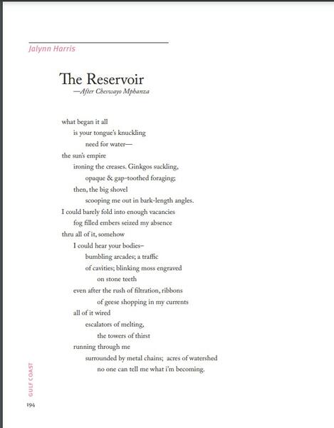 The Reservoir published in Gulf Coast Literary Magazine 