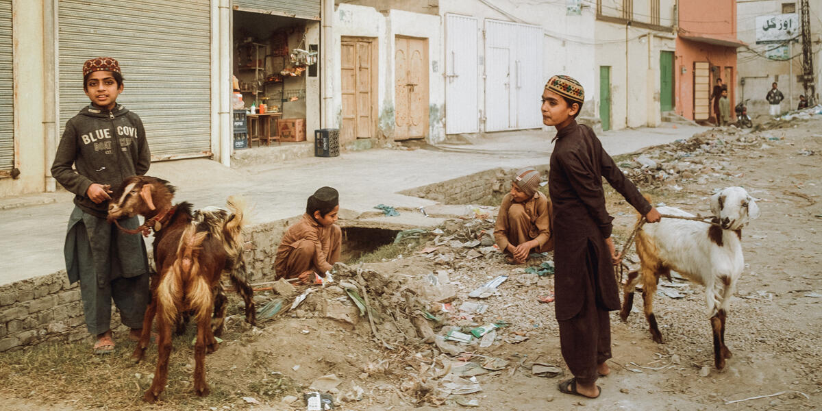 Seen in Dera Ismail Khan, Pakistan