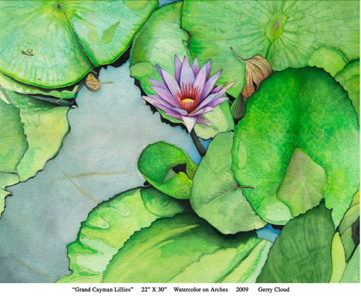 Lillies