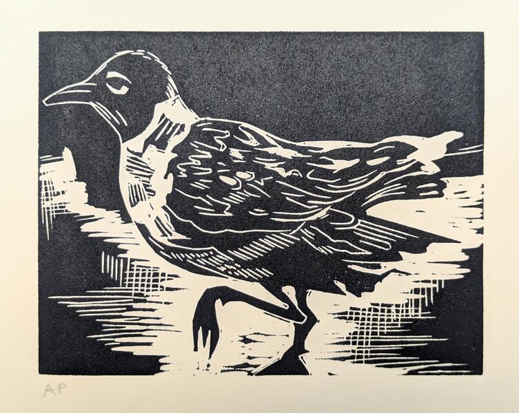 Gull #2