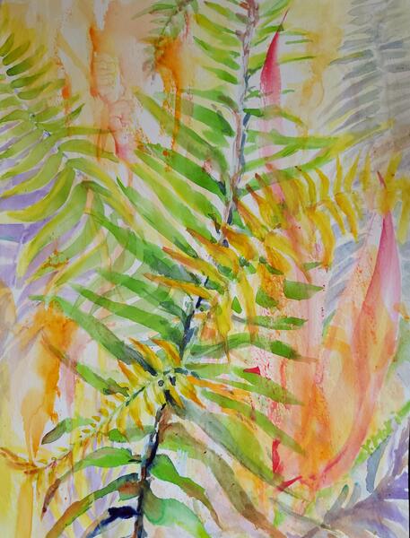 Understory 